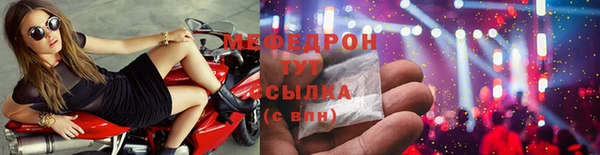 сатива Ростов