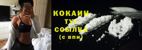 прущие грибы Богданович