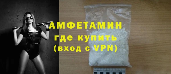 прущие грибы Богданович