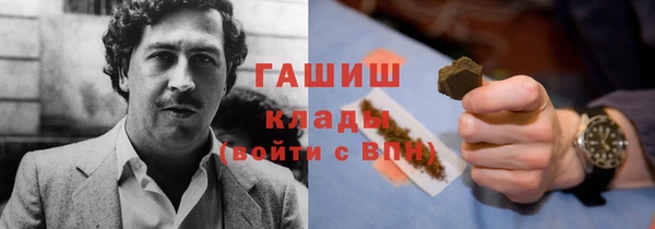 прущие грибы Богданович
