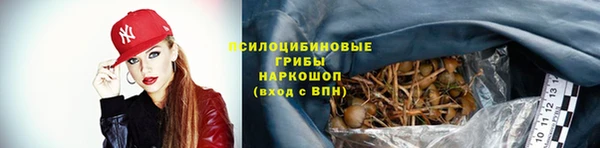 прущие грибы Богданович