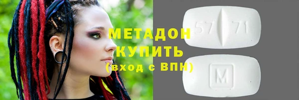 прущие грибы Богданович
