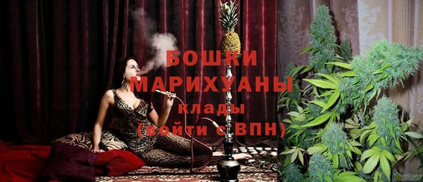 прущие грибы Богданович