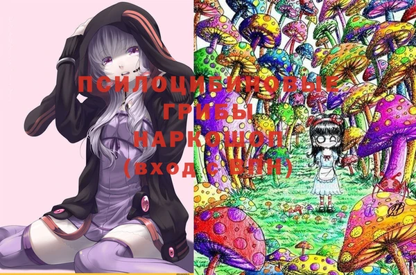 прущие грибы Богданович