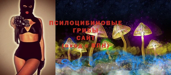 прущие грибы Богданович