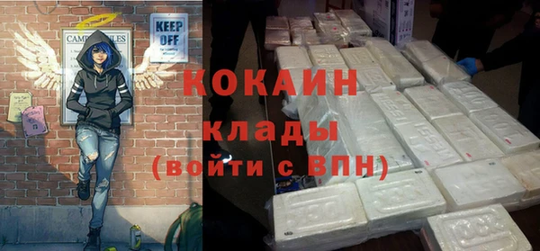 прущие грибы Богданович