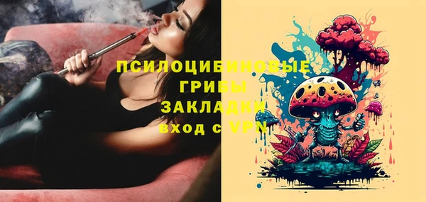 прущие грибы Богданович