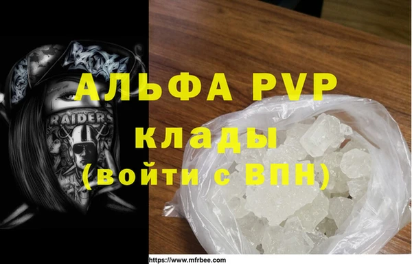 прущие грибы Богданович