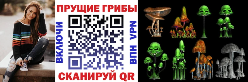 Галлюциногенные грибы Cubensis  darknet какой сайт  Козловка 